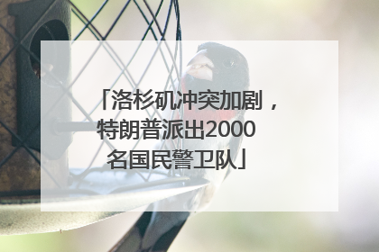 洛杉矶冲突加剧，特朗普派出2000名国民警卫队
