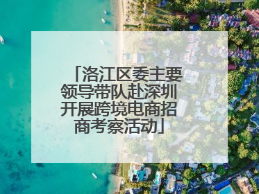 洛江区委主要领导带队赴深圳开展跨境电商招商考察活动