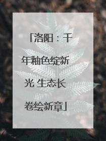 洛阳：千年釉色绽新光 生态长卷绘新章