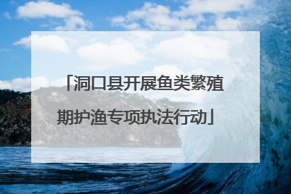 洞口县开展鱼类繁殖期护渔专项执法行动