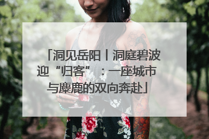 洞见岳阳丨洞庭碧波迎“归客”：一座城市与麋鹿的双向奔赴