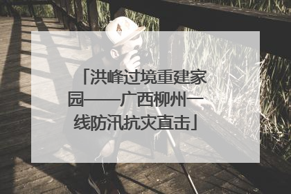 洪峰过境重建家园——广西柳州一线防汛抗灾直击