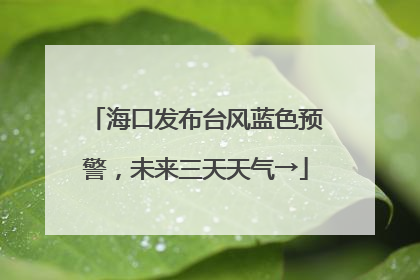海口发布台风蓝色预警，未来三天天气→