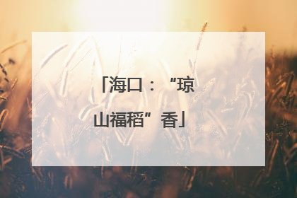 海口：“琼山福稻”香