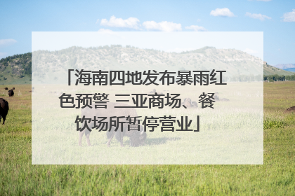 海南四地发布暴雨红色预警 三亚商场、餐饮场所暂停营业