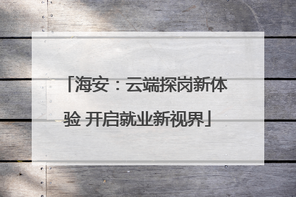 海安：云端探岗新体验 开启就业新视界