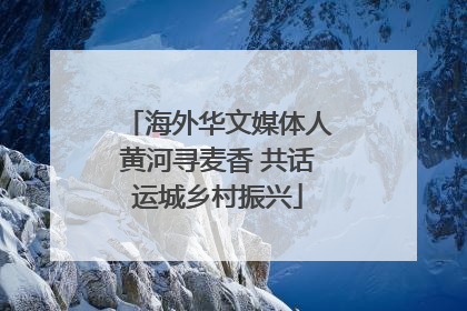 海外华文媒体人黄河寻麦香 共话运城乡村振兴