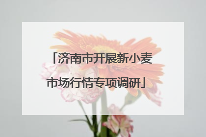 济南市开展新小麦市场行情专项调研