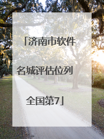 济南市软件名城评估位列全国第7