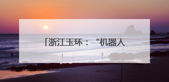 浙江玉环：“机器人军团”赋能城市管理