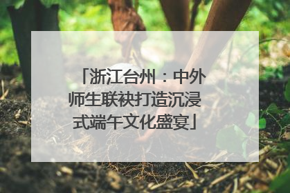 浙江台州：中外师生联袂打造沉浸式端午文化盛宴