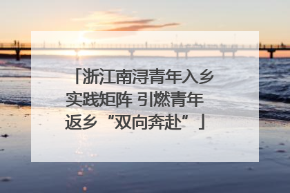 浙江南浔青年入乡实践矩阵 引燃青年返乡“双向奔赴”