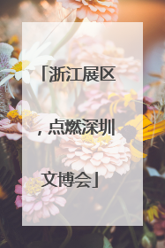 浙江展区，点燃深圳文博会