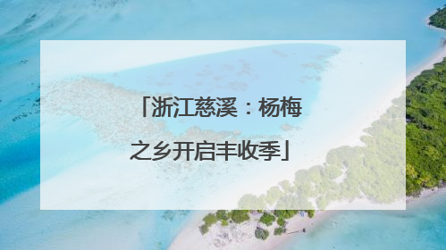 浙江慈溪：杨梅之乡开启丰收季
