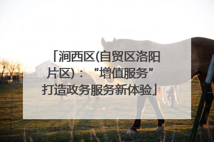 涧西区(自贸区洛阳片区)：“增值服务”打造政务服务新体验
