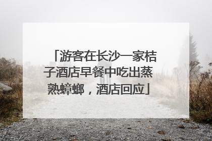 游客在长沙一家桔子酒店早餐中吃出蒸熟蟑螂，酒店回应