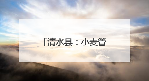 清水县：小麦管理正当时 守护粮“芯”绘丰景