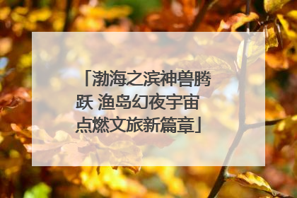 渤海之滨神兽腾跃 渔岛幻夜宇宙点燃文旅新篇章