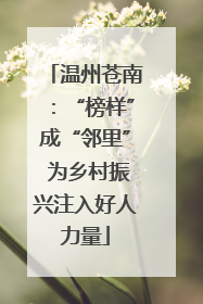 温州苍南：“榜样”成“邻里” 为乡村振兴注入好人力量
