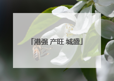 港强 产旺 城盛