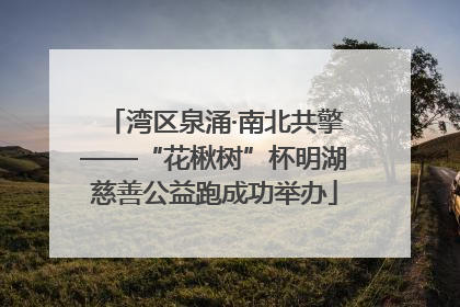 湾区泉涌·南北共擎——“花楸树”杯明湖慈善公益跑成功举办