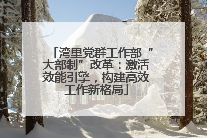 湾里党群工作部“大部制”改革：激活效能引擎，构建高效工作新格局