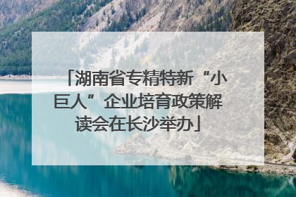 湖南省专精特新“小巨人”企业培育政策解读会在长沙举办