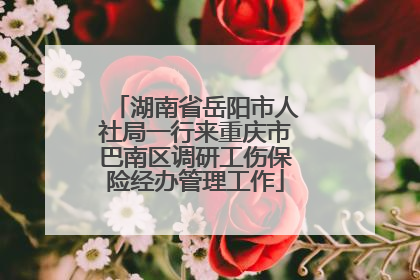湖南省岳阳市人社局一行来重庆市巴南区调研工伤保险经办管理工作