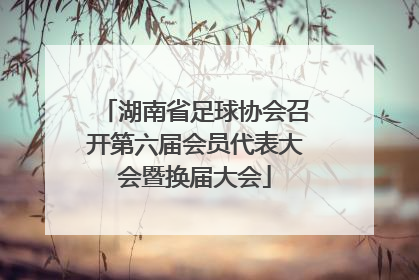 湖南省足球协会召开第六届会员代表大会暨换届大会