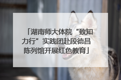 湖南师大体院“致知力行”实践团赴段德昌陈列馆开展红色教育