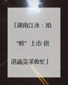 湖南江永：抢“鲜”上市 供港蔬菜采收忙