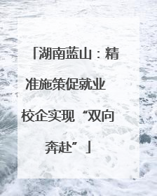湖南蓝山：精准施策促就业 校企实现“双向奔赴”