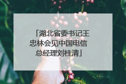 湖北省委书记王忠林会见中国电信总经理刘桂清
