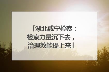 湖北咸宁检察：检察力量沉下去，治理效能提上来