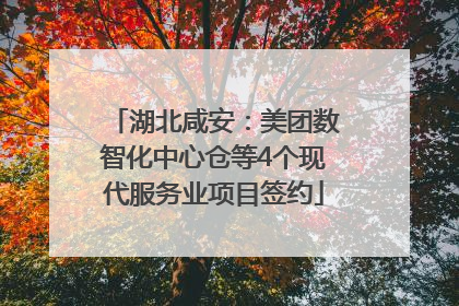 湖北咸安：美团数智化中心仓等4个现代服务业项目签约