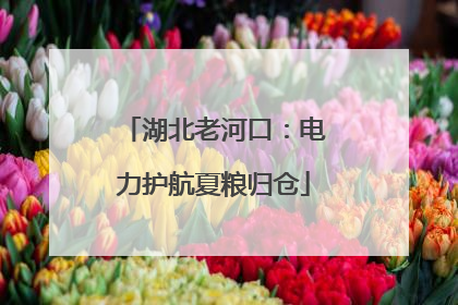 湖北老河口：电力护航夏粮归仓