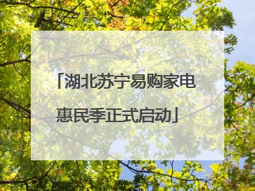 湖北苏宁易购家电惠民季正式启动