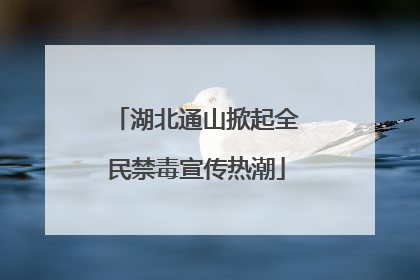 湖北通山掀起全民禁毒宣传热潮