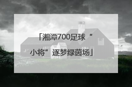 湘潭700足球“小将”逐梦绿茵场