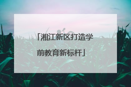 湘江新区打造学前教育新标杆