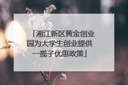 湘江新区黄金创业园为大学生创业提供一揽子优惠政策