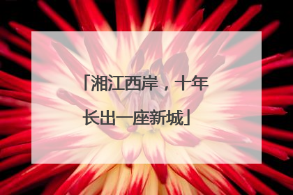 湘江西岸，十年长出一座新城