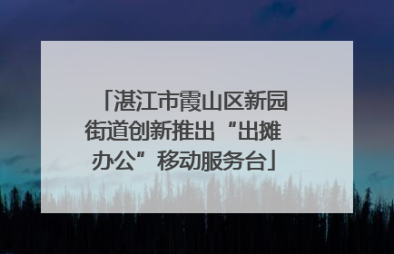 湛江市霞山区新园街道创新推出“出摊办公”移动服务台