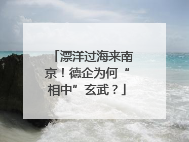 漂洋过海来南京！德企为何“相中”玄武？