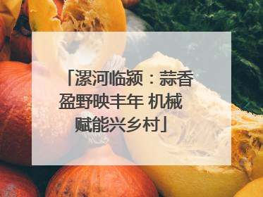 漯河临颍：蒜香盈野映丰年 机械赋能兴乡村