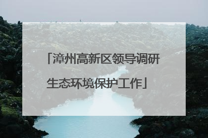 漳州高新区领导调研生态环境保护工作