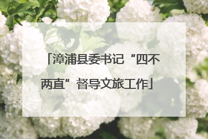 漳浦县委书记“四不两直”督导文旅工作