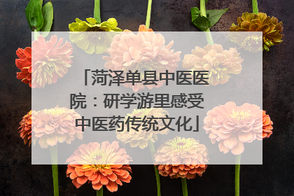 菏泽单县中医医院：研学游里感受中医药传统文化