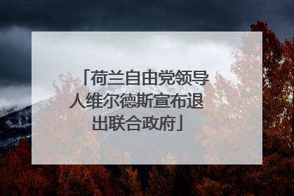 荷兰自由党领导人维尔德斯宣布退出联合政府
