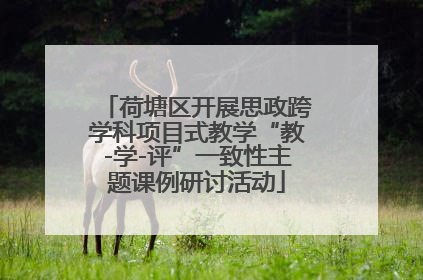 荷塘区开展思政跨学科项目式教学“教-学-评”一致性主题课例研讨活动